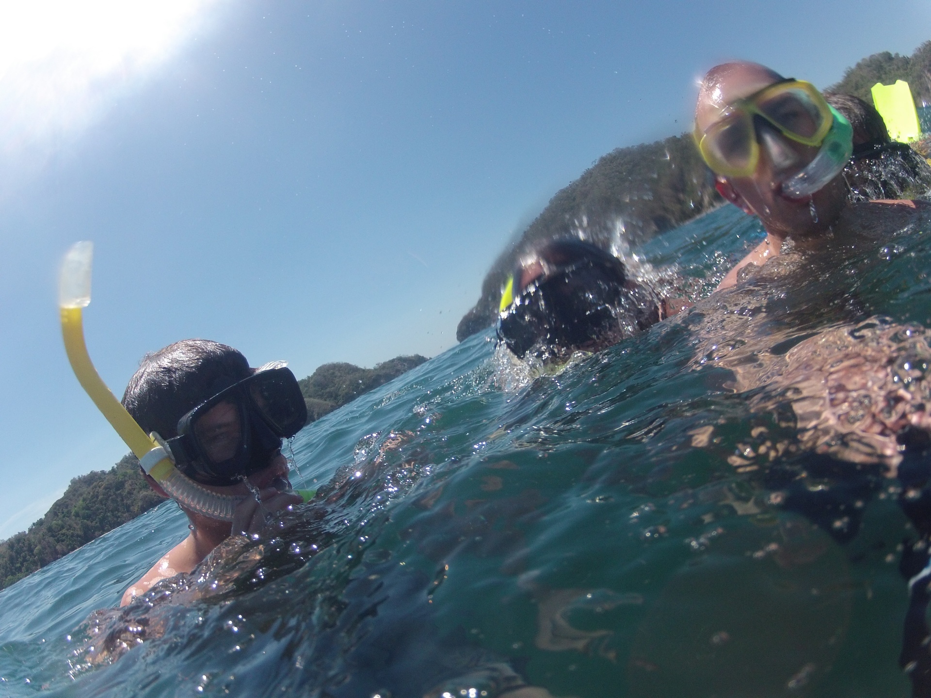 Tortuga Island, Snorkeling, BBQ and Whales!!!! The